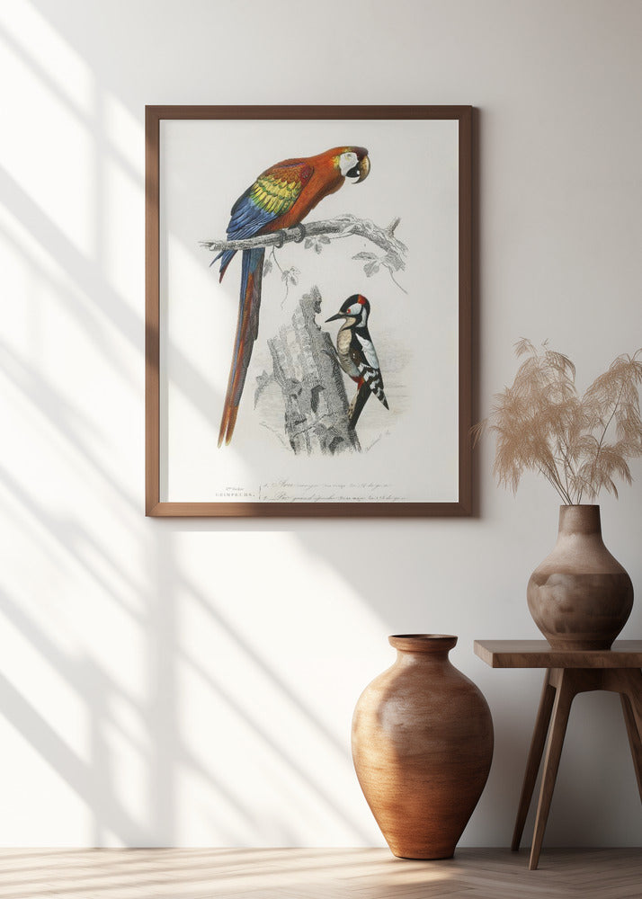 Birds II