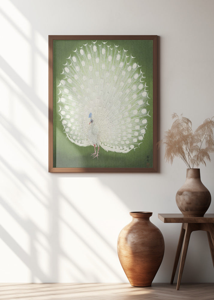 Peacock 50x70