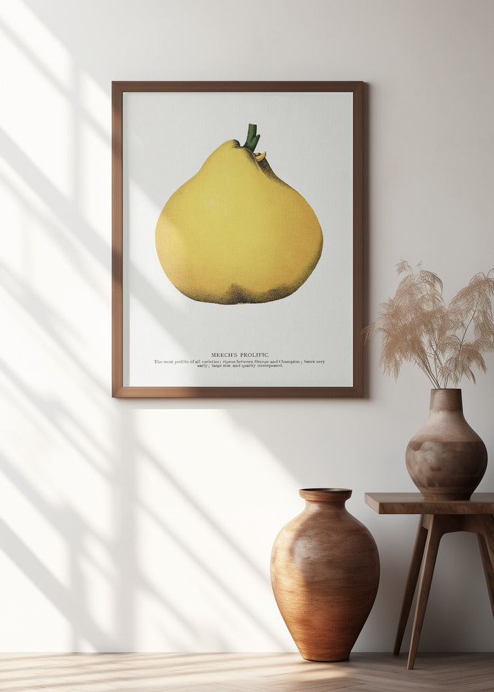 Meech's Prolific Pear Lithograph