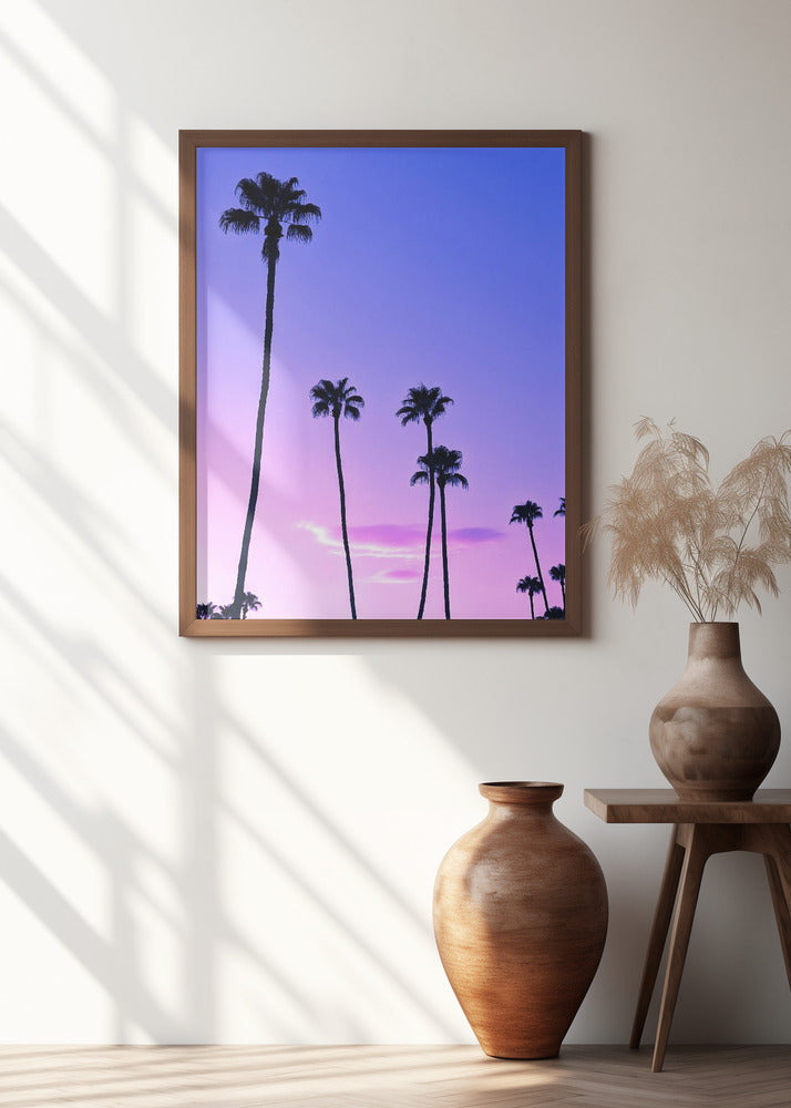 Palm Tree Sunset