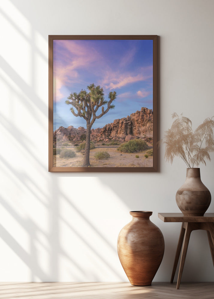 Joshua Tree Evening Atmosphere