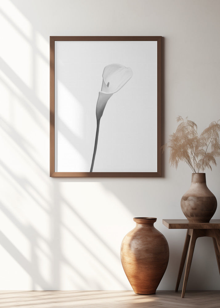 Art Prints of Calla | bright design