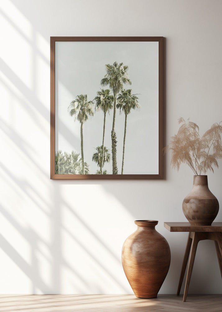 Palm Trees Summertime