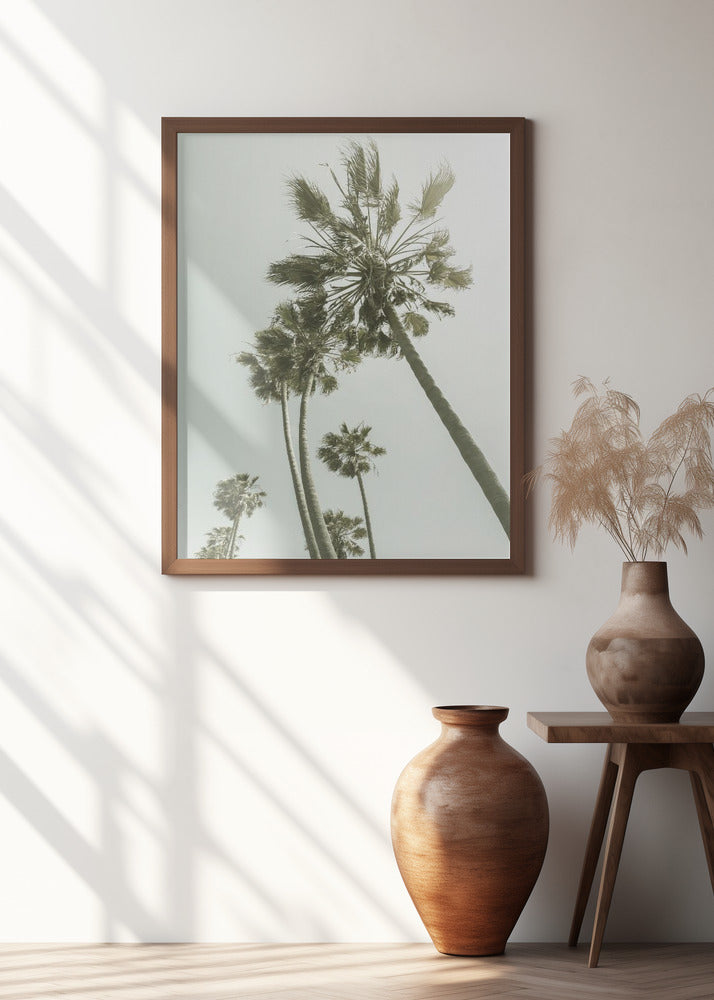 Vintage Palm Trees in the sun