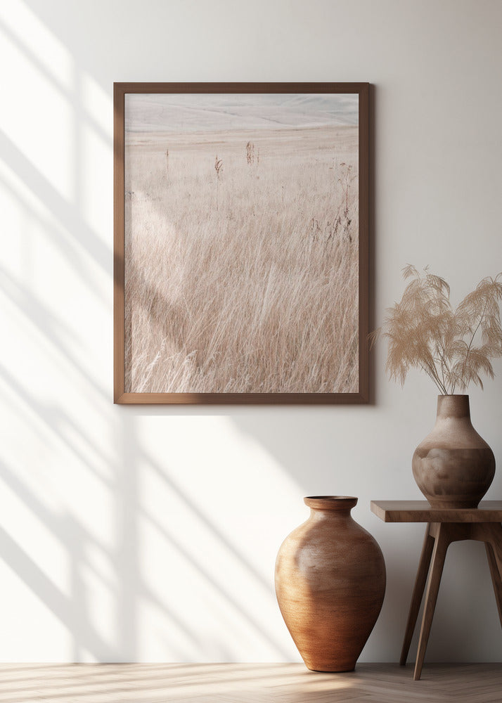 Grass in the mountains