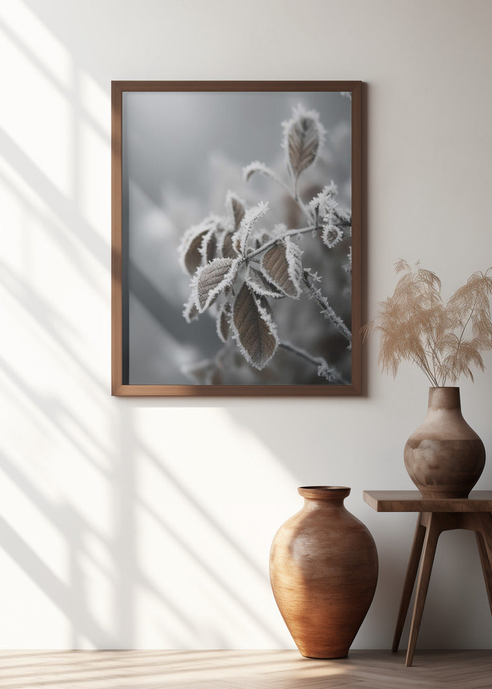Frozennature