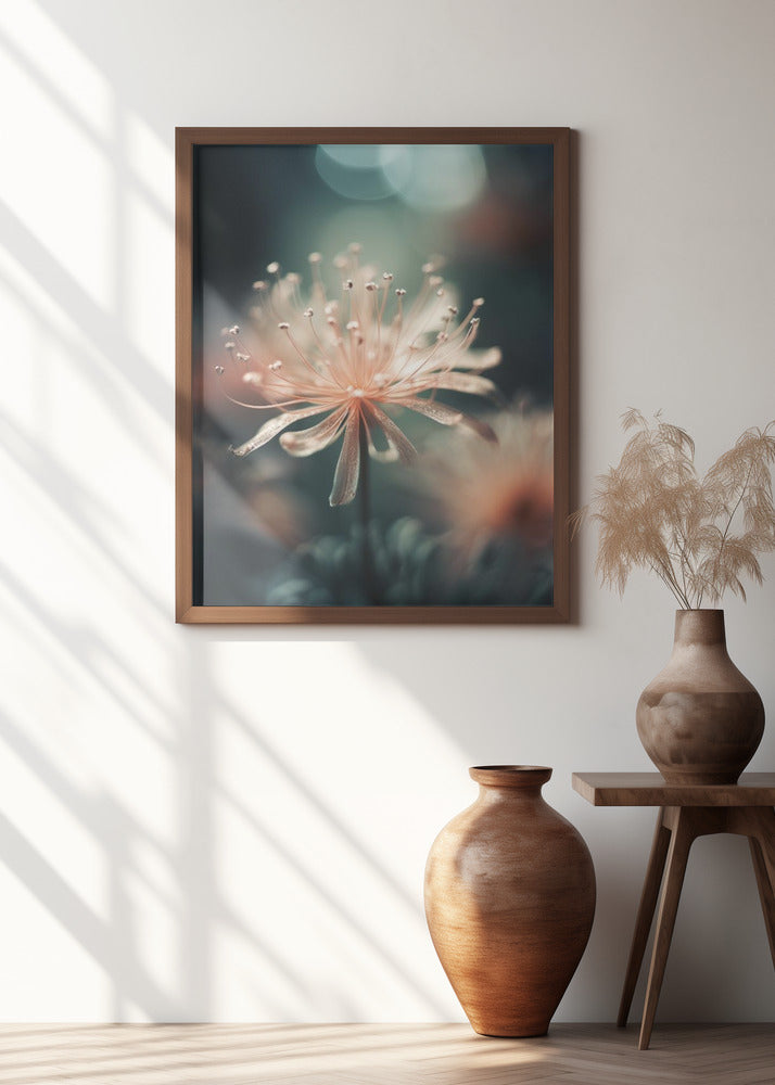 Soft Petal Dream