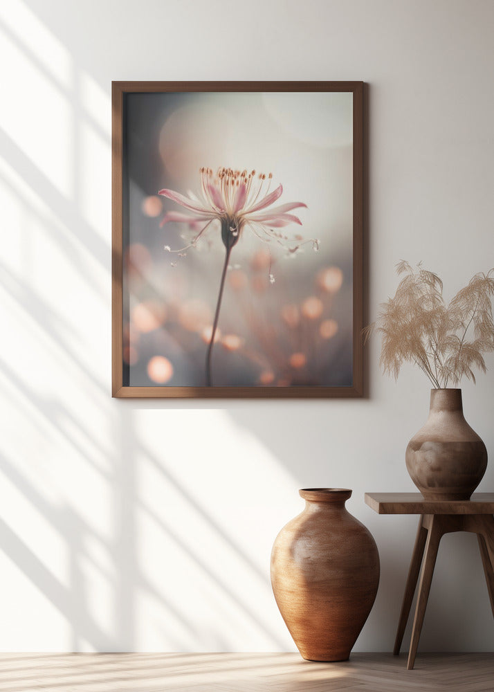 Delicate Bloom