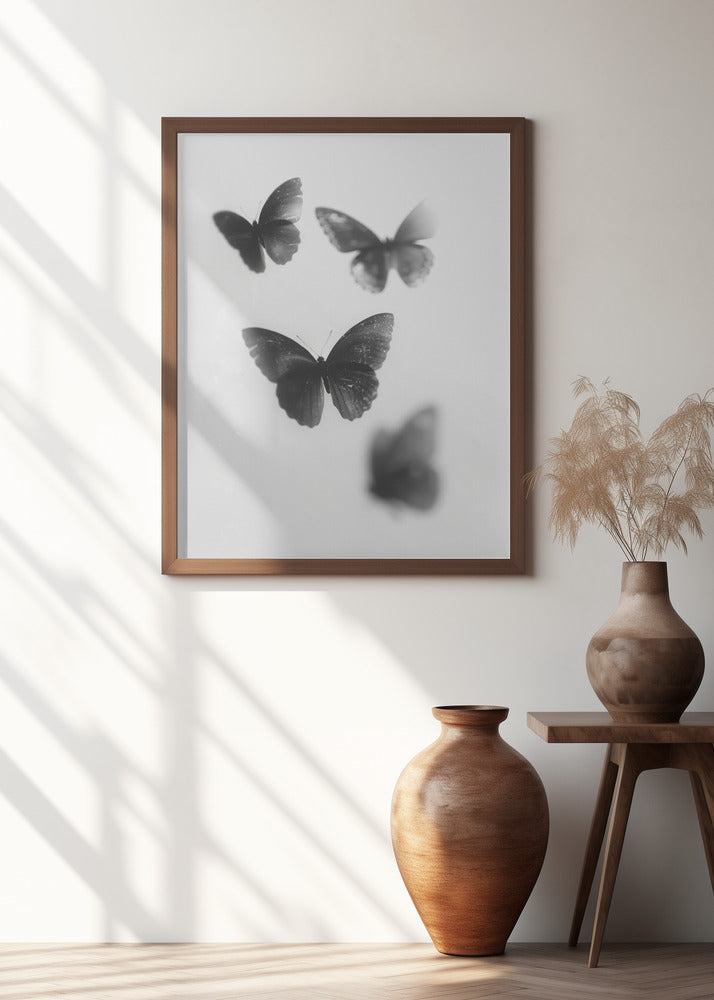 Fluttering Shadows
