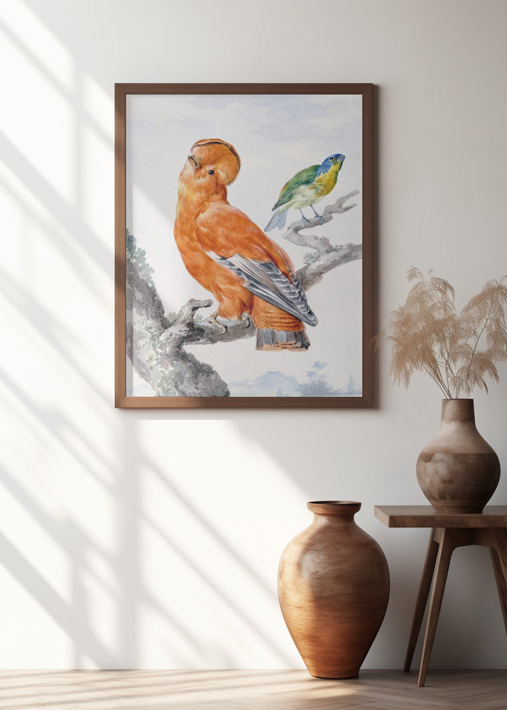 Two Exotic Birds