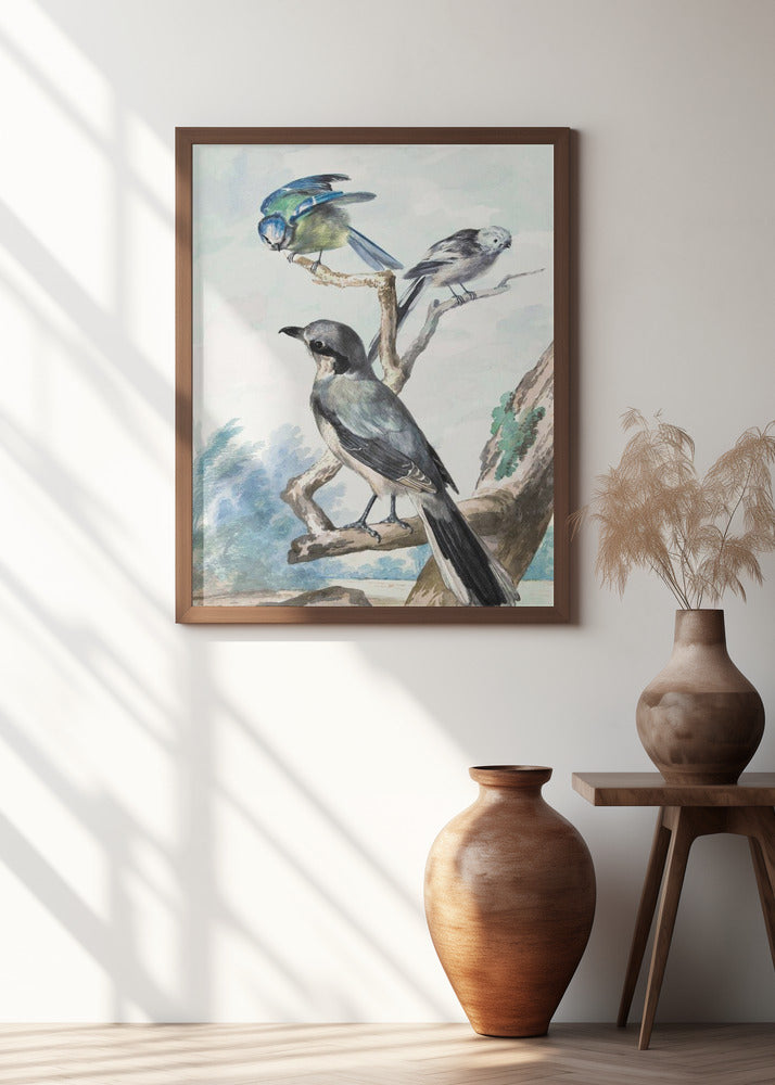 Three Birds