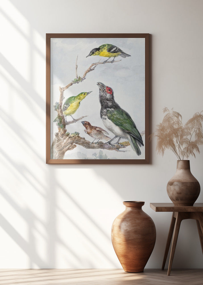 Four Different Birds On a Branch