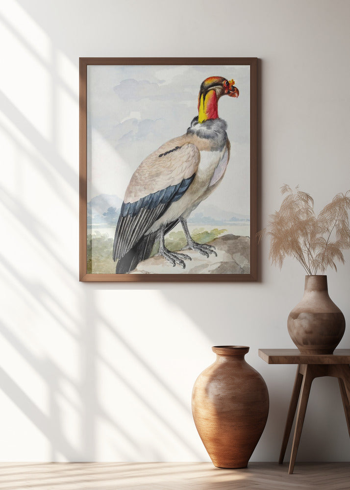 Stone Curlew