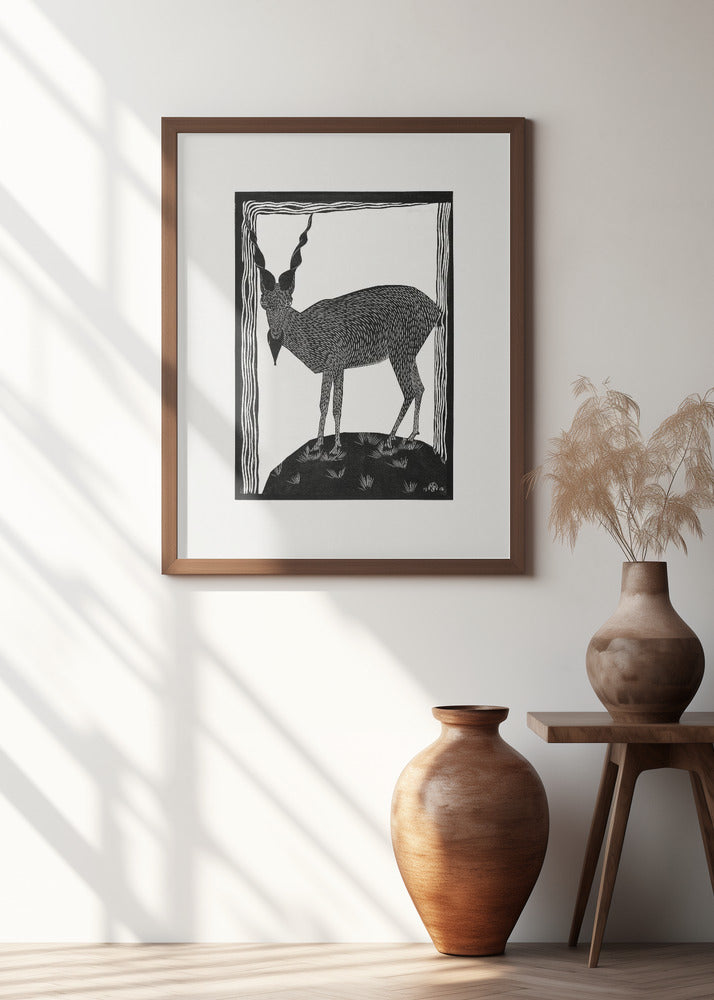 Markhor Goat