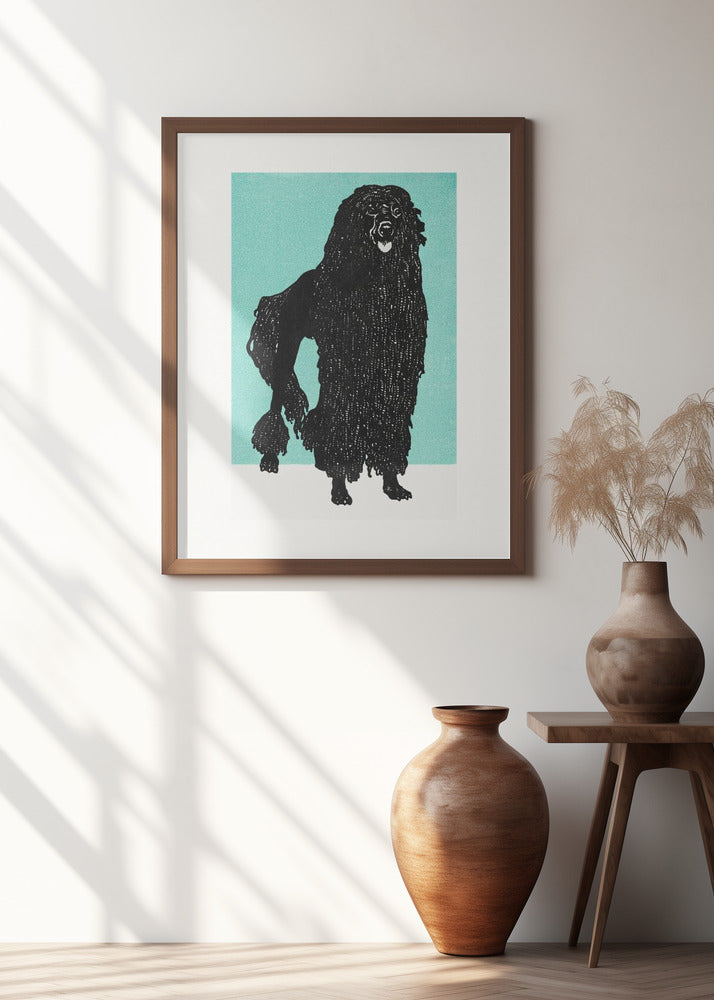 Poodle