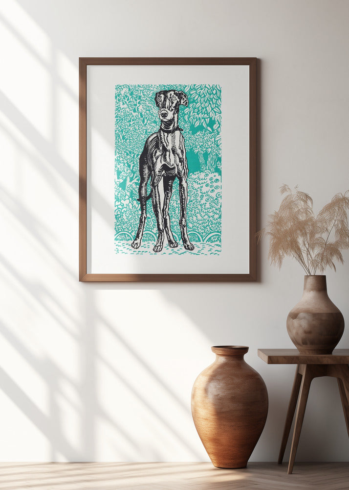 Greyhound