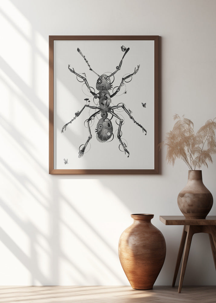 Ant