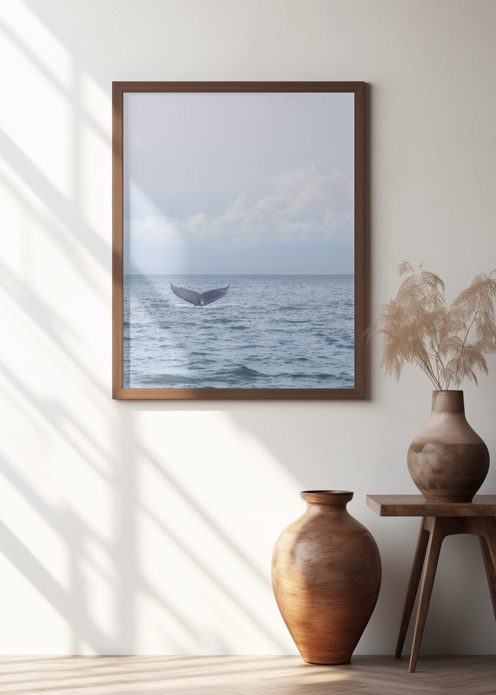 Whale's Farewell