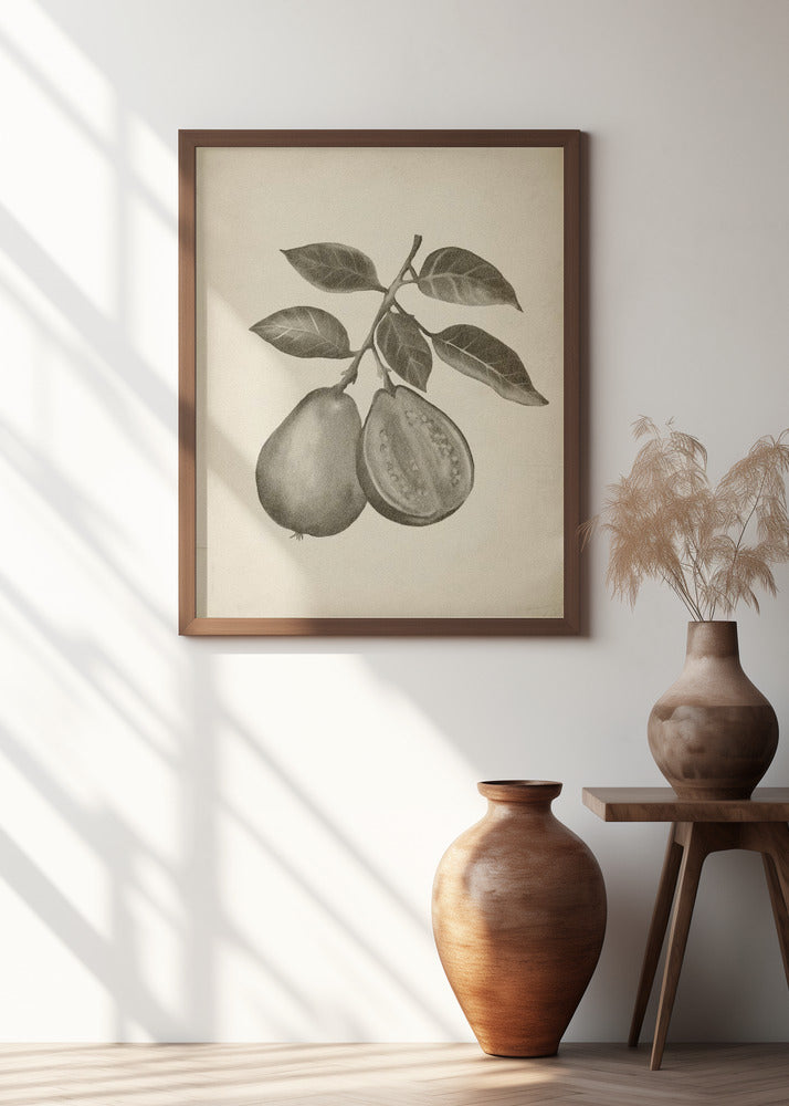Vintage fruit