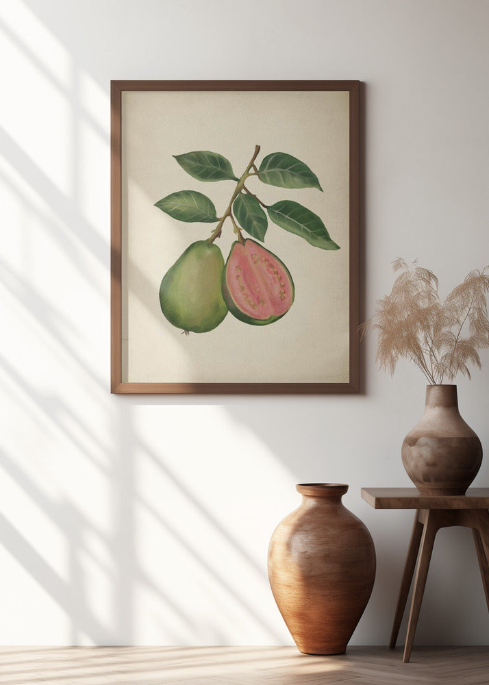 Vintage guava