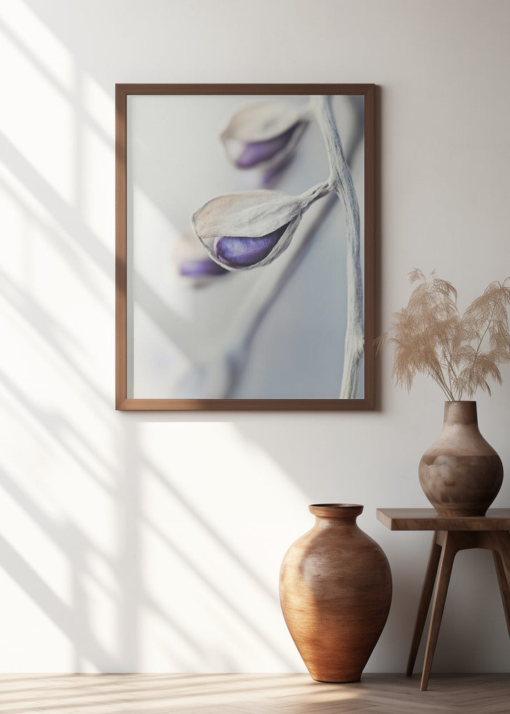 Ethereal Blossoms