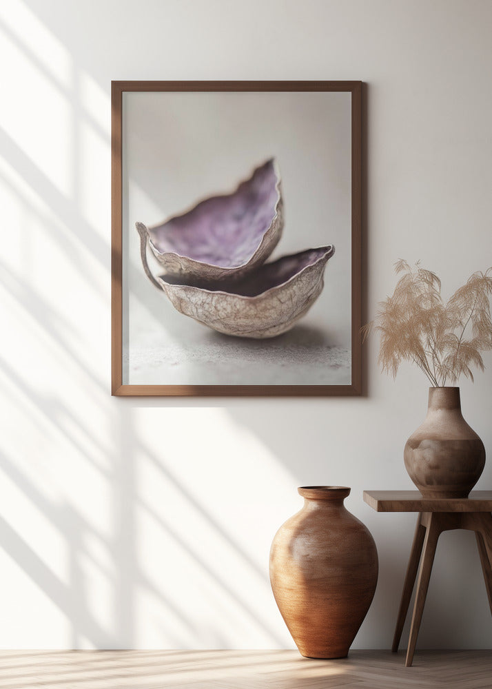 Whispering Shells