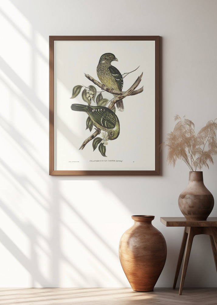 Cat Bird