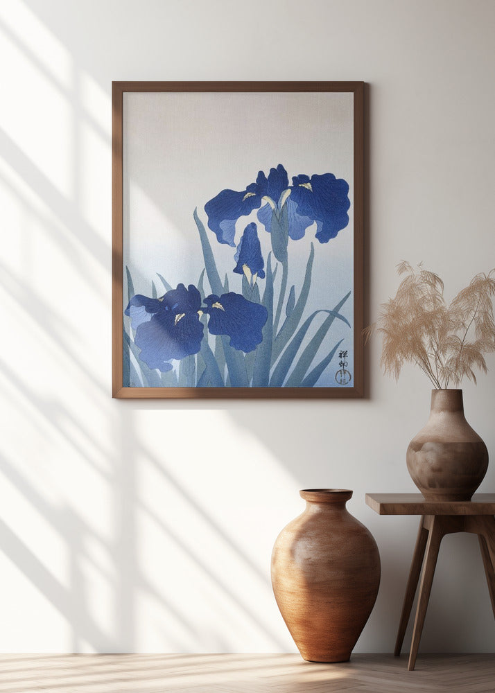 Iris Flowers