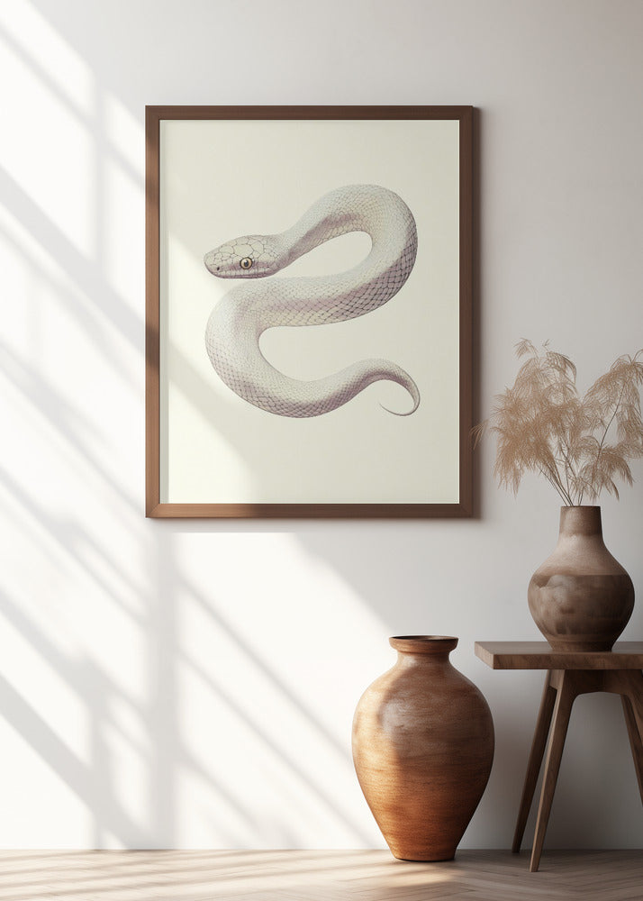 Snake Poster