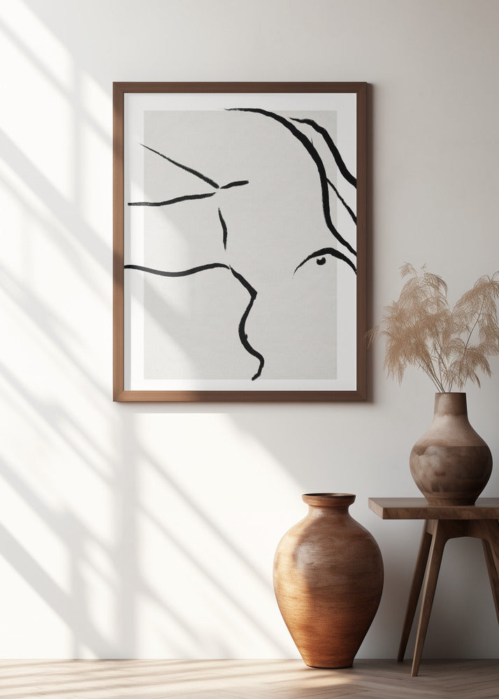 Fluid Simplicity