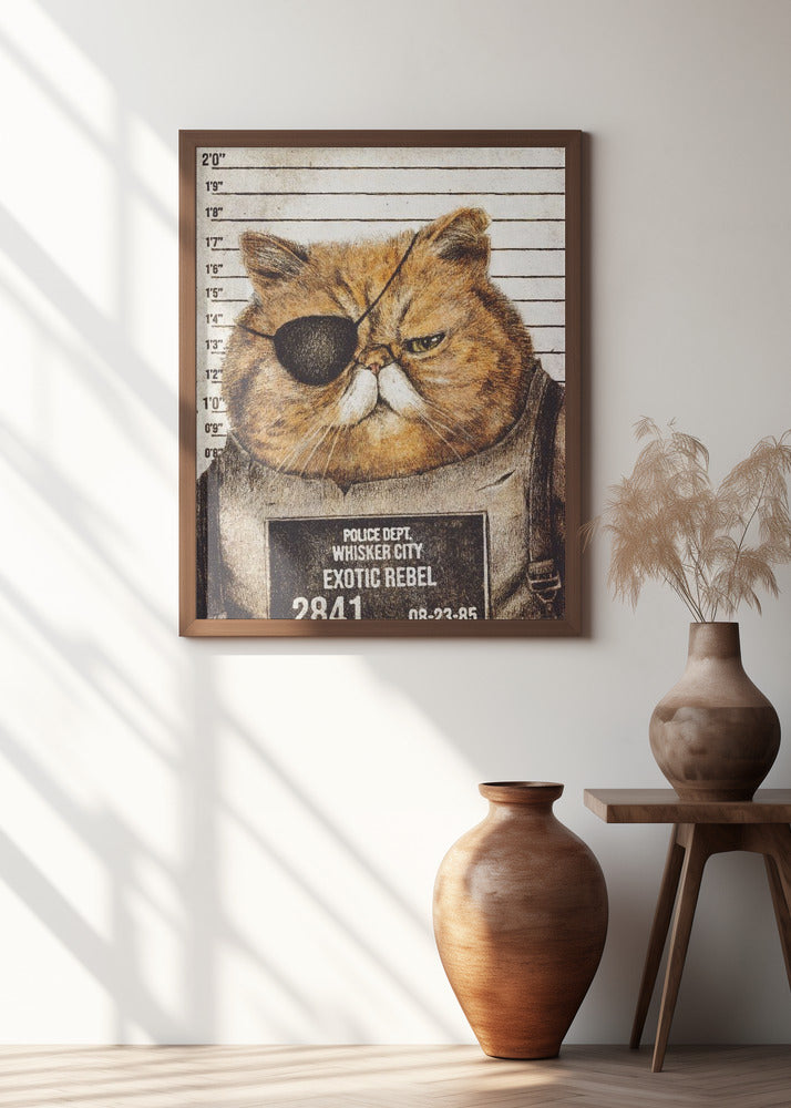 Funny Cat