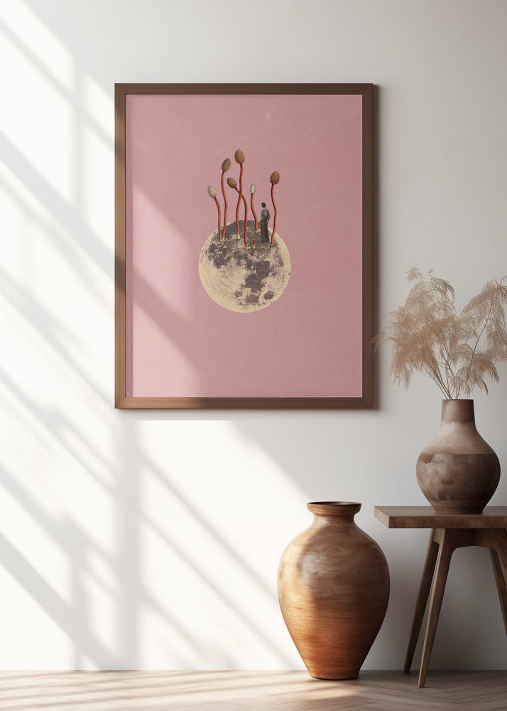Lunar Growth