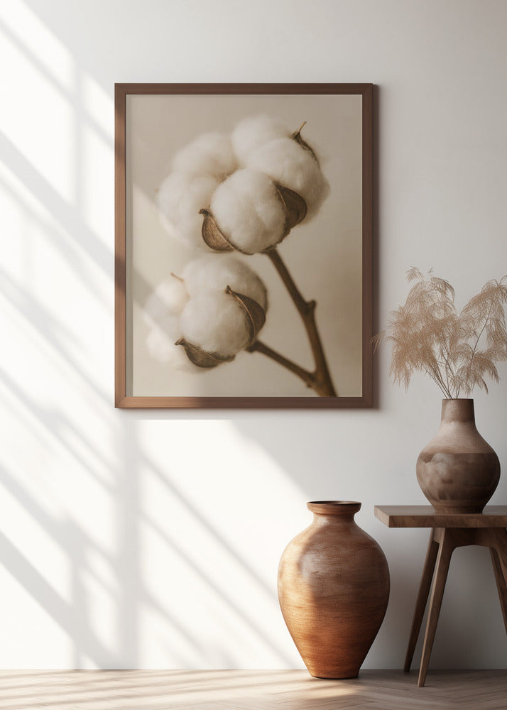 Soft Cotton Dreams