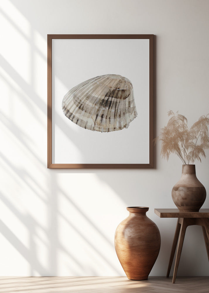 Seashell Serenity