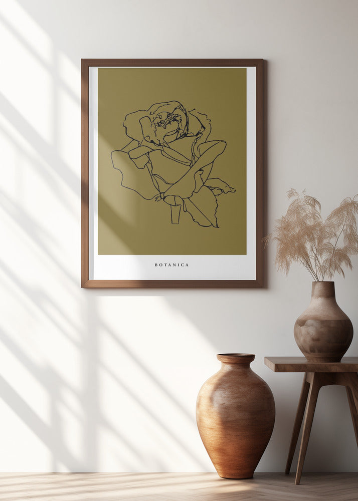 Botanicalineno01
