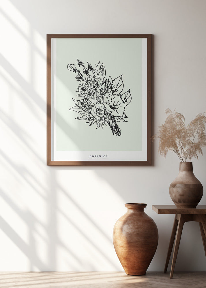 Botanicalineno62
