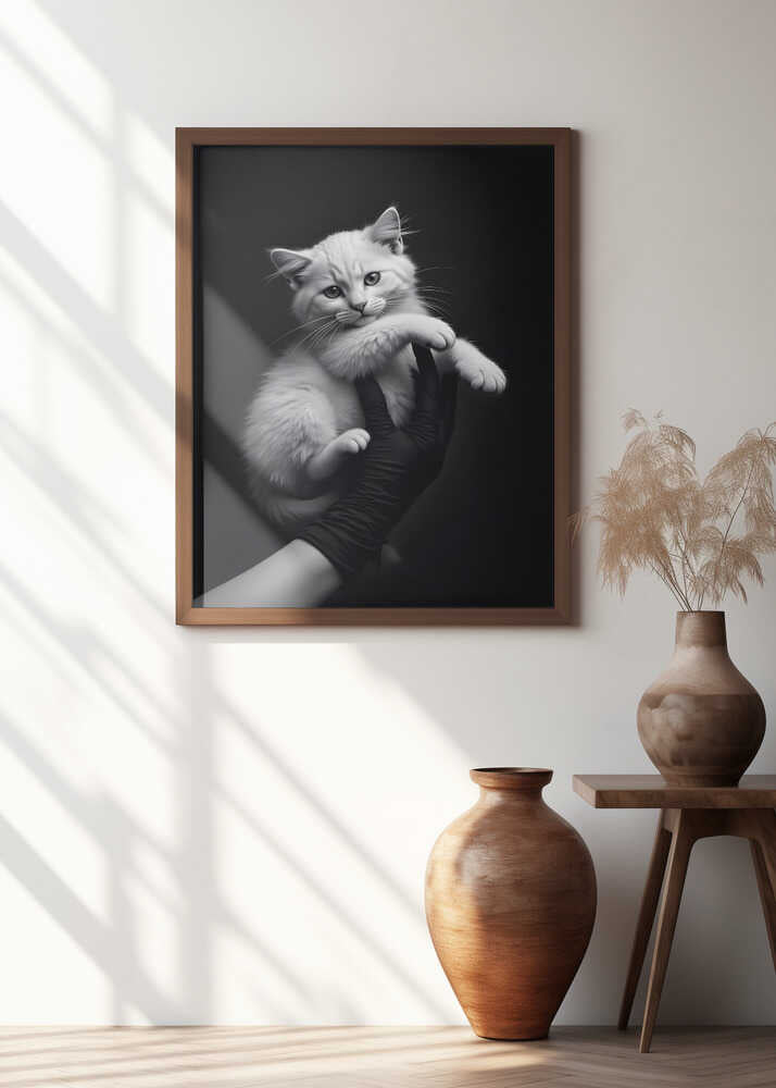 Conceptual Photography (Archives)
