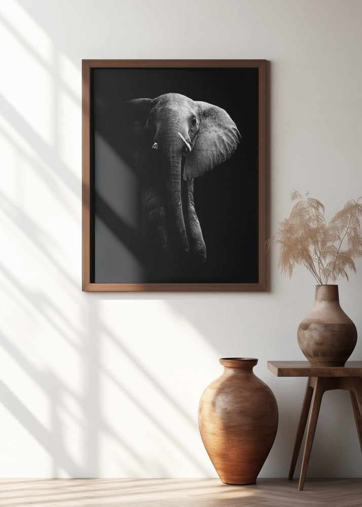Elephant!