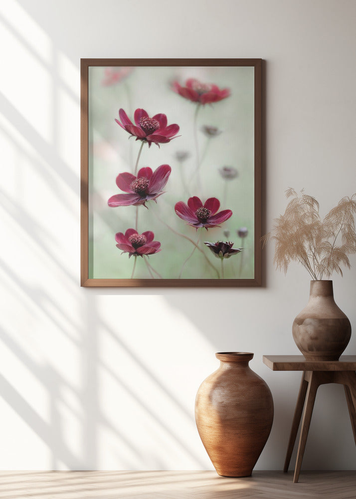 Cosmos sway