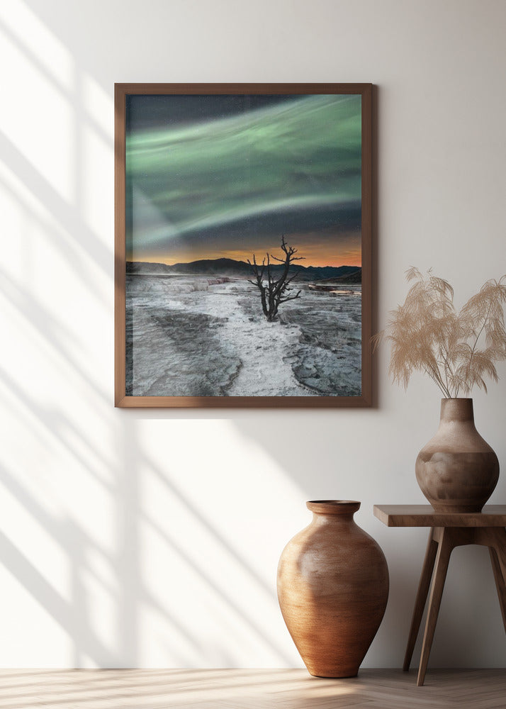 Magic Aurora