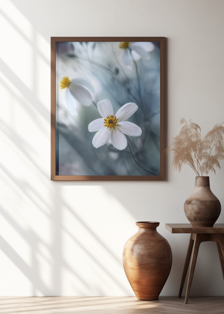 Cosmos