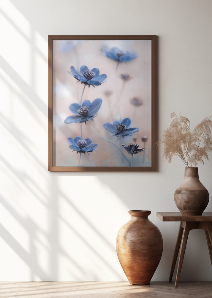 Cosmos blue