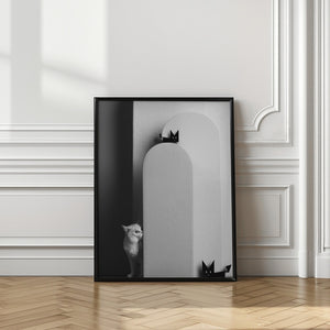 Art Prints of B&W
