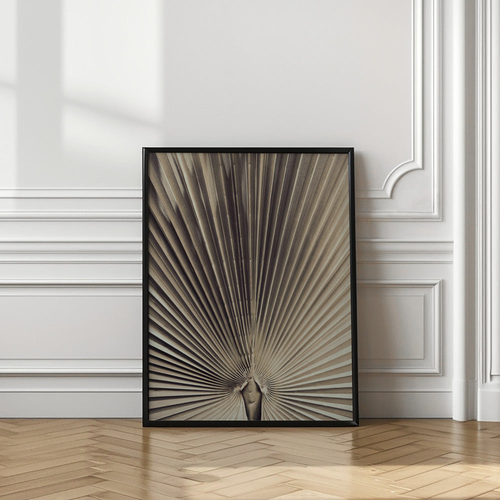 Art Prints of Palmblad_001