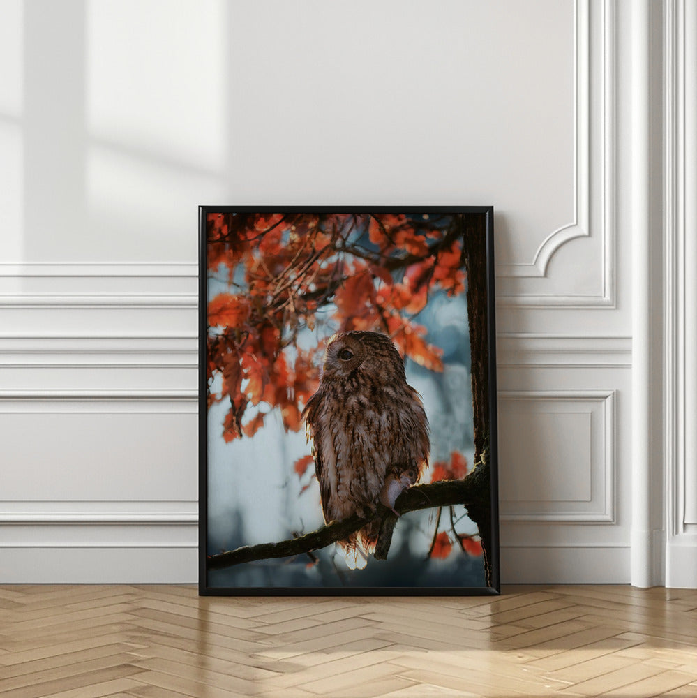 Art Prints of Resting owl with prey