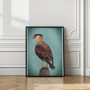 Canvas Art Print Carancho