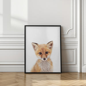Canvas Art Print Baby Fox