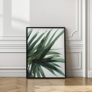 Art Prints of Lush
