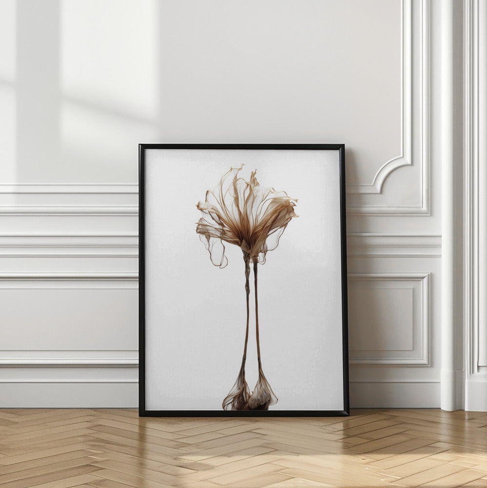 Delicate Whimsy