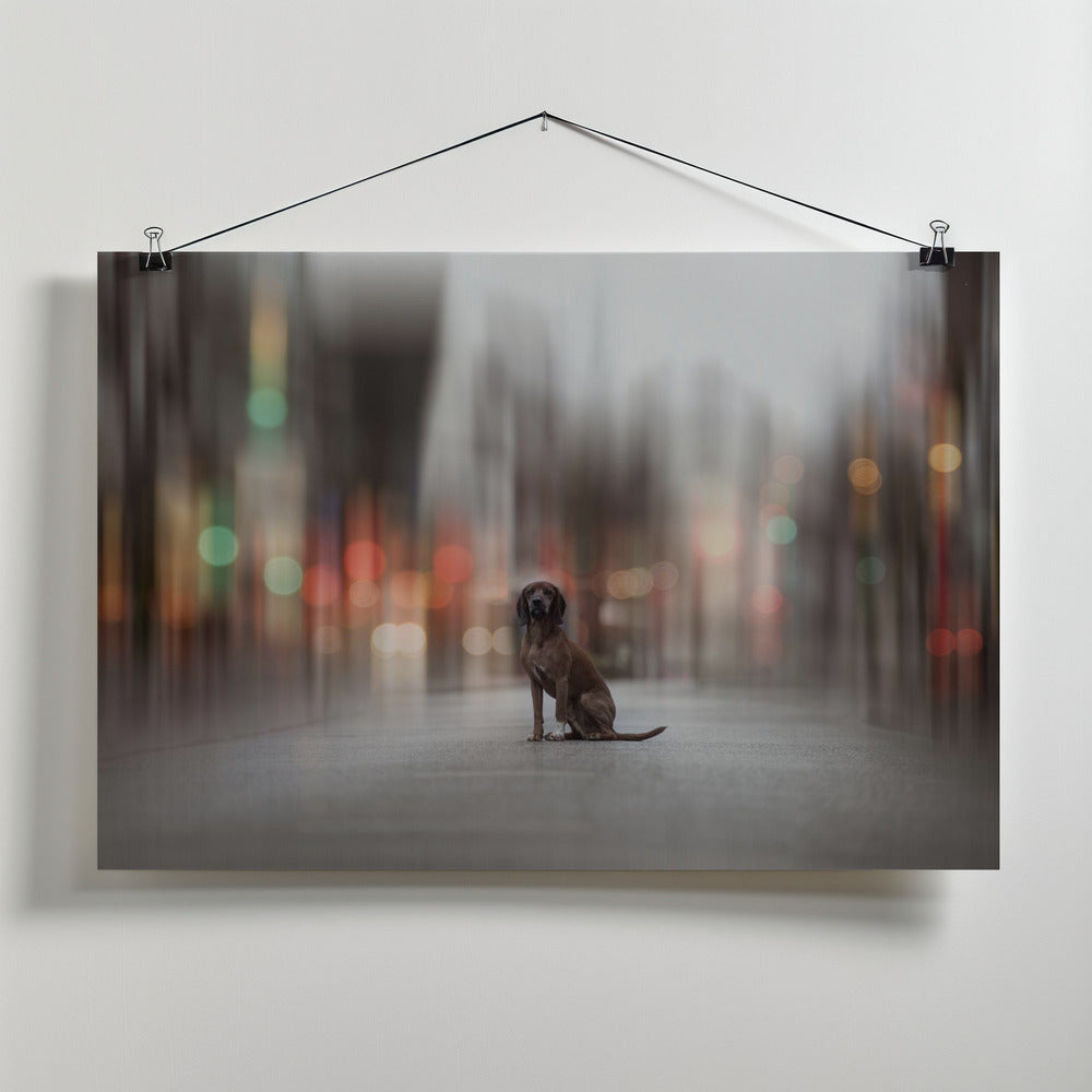 Art Prints of ... the Light lies down on Broadway...